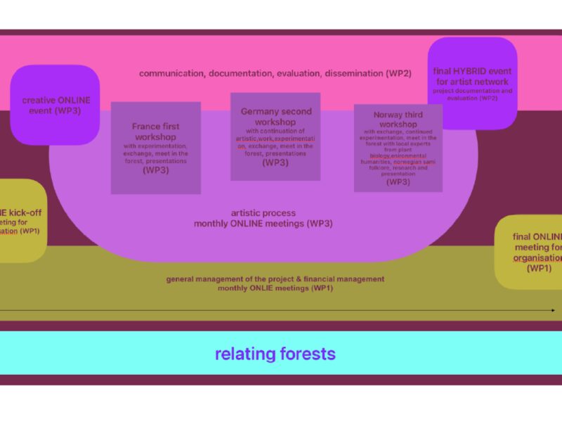 SCHEMA RELATING FORESTS